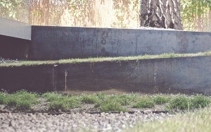 ogród Kraków